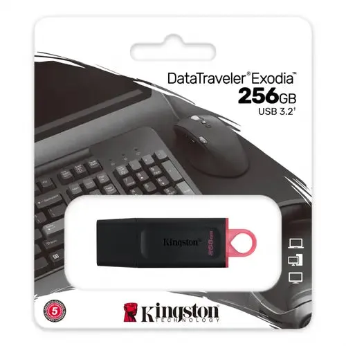 256 GB Kingston Data Traveller USB Memory Stick