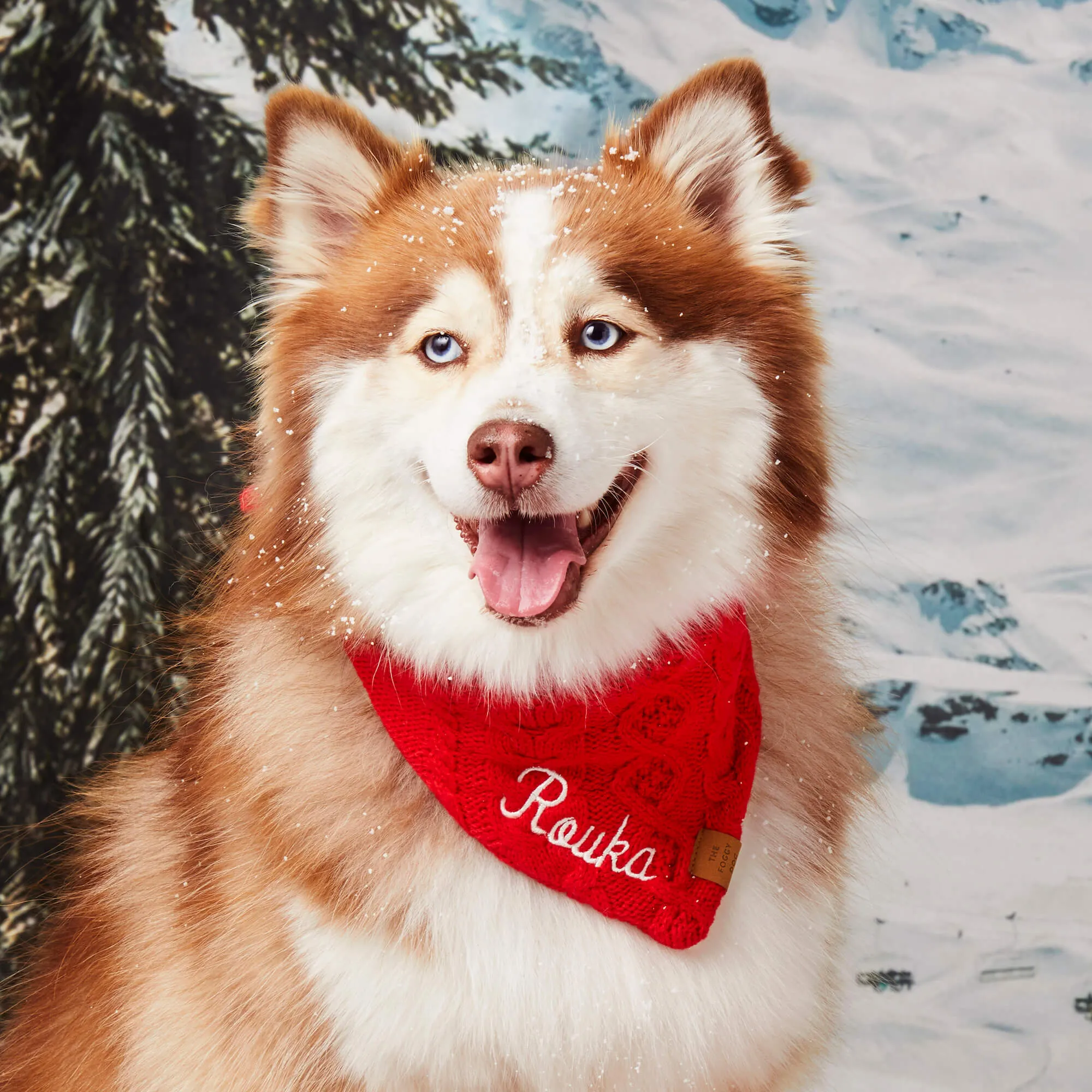 Cable Knit Dog Bandana