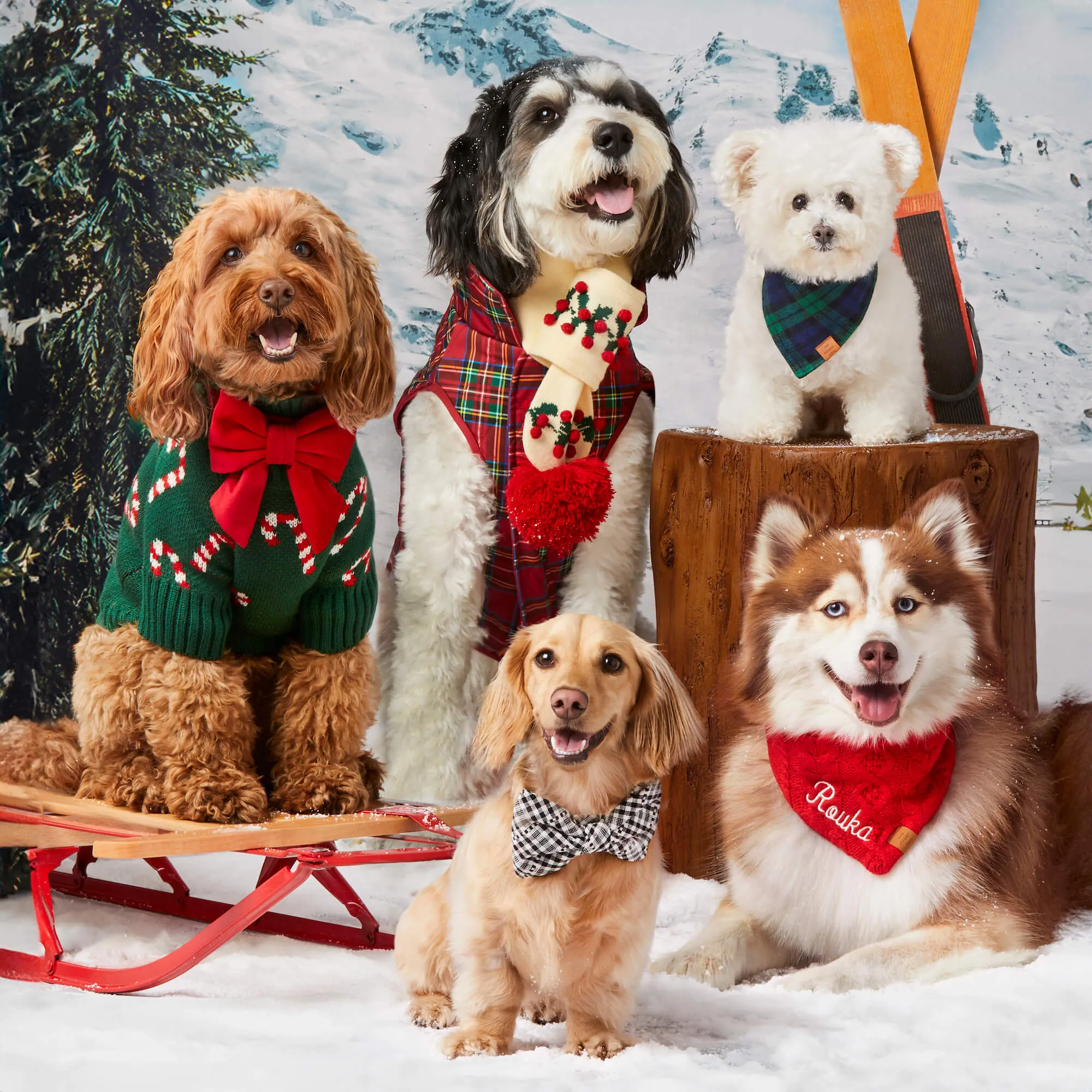 Cable Knit Dog Bandana