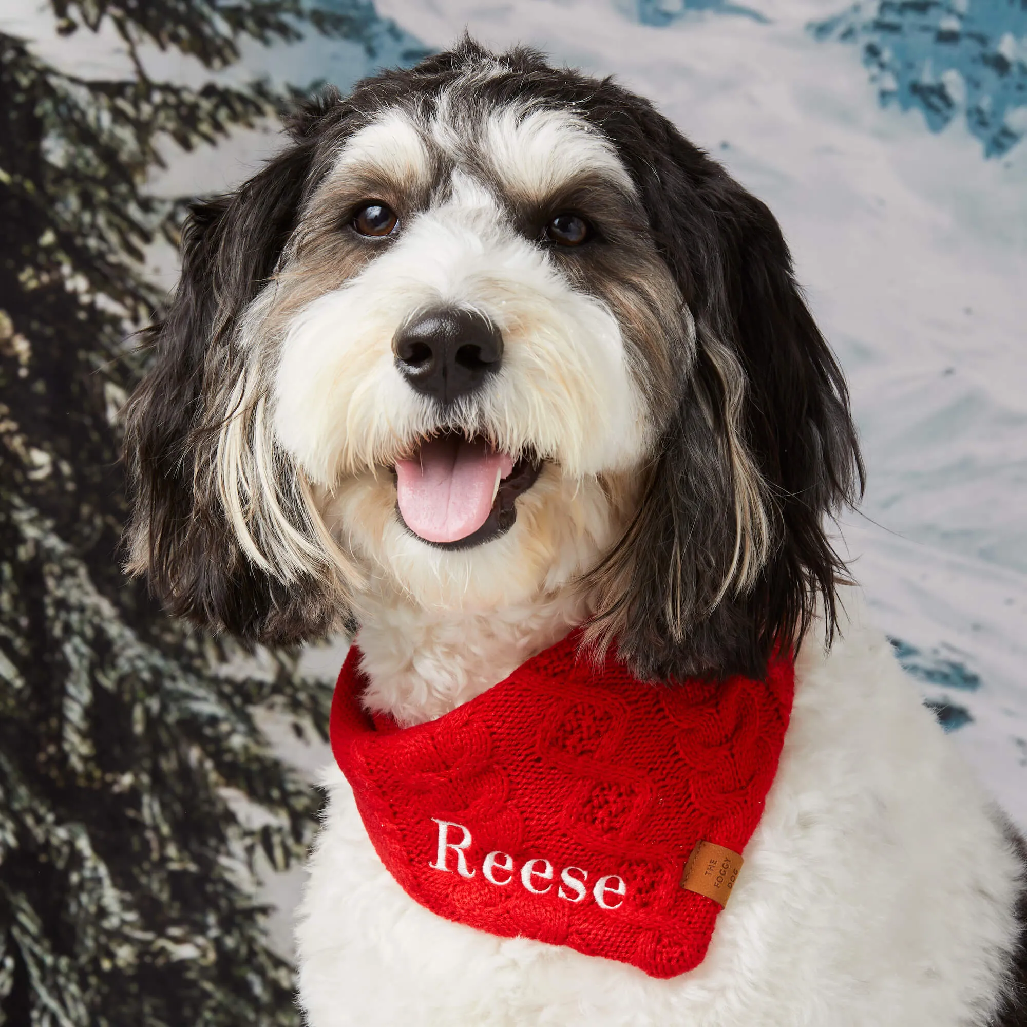 Cable Knit Dog Bandana