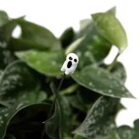 Ghost Plant Stick