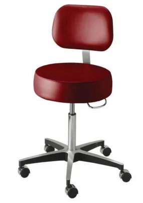 Pneumatic Stool with Back