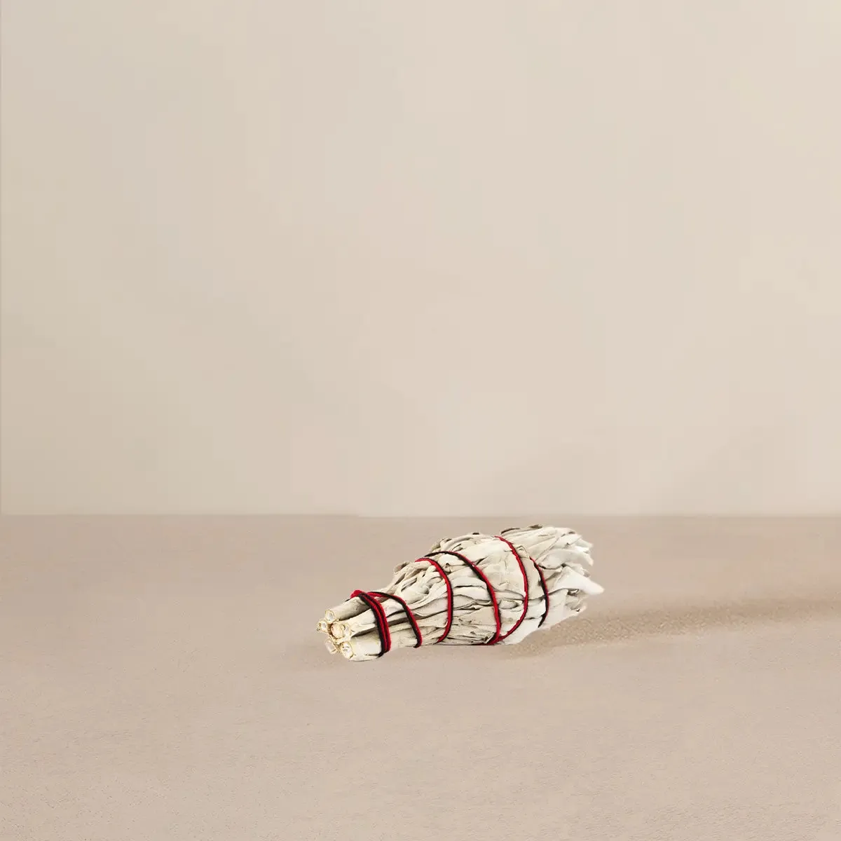 White Sage Smudge Stick | Small (1Pc)